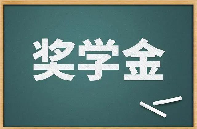 大学奖学金申请书800字范文，大学奖学金申请书800字范文大全？